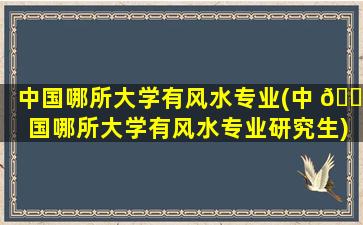 中国哪所大学有风水专业(中 🍁 国哪所大学有风水专业研究生)